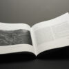 Paysages & Transfiguration / Philippe Ciaparra