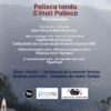 Palleca tandu – C'était Palleca / Rina Sherman