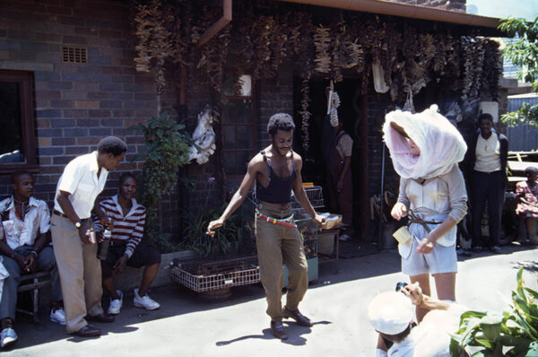 Chicken Movie. Cluck! / Rina Sherman