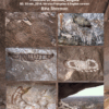 Tchitundu-Hulu Rock Art – art rupestre, Province of Namibe, Angola / Rina Sherman