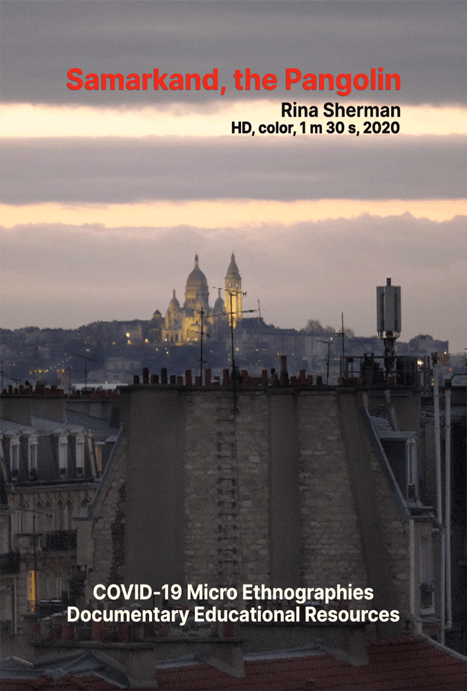 Samarkand, the Pangolin / Rina Sherman